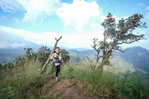 BIB: 
                            <button type="button" onclick="openModal(22373795)" class="btn btn-primary btn-sm float-right btn-popup" data-toggle="modal" data-target=".modal-high-quality">
                        <i class="fas fa-shopping-cart"></i> Add to Cart
                    </button>
                                            <button type="button" onclick="isThisMe(22373795, true)" class="btn btn-success btn-sm float-right btn-popup btn-isme hidden" data-toggle="tooltip" data-placement="bottom" title="นี่คือรูปของคุณใช่ไหม คลิกที่นี่เพื่อเอาเข้าอัลบั้ม">
                        <i class="fas fa-plus"></i> Add to album
                    </button>
                    <button type="button" onclick="isThisMe(22373795, false)" class="btn btn-warning btn-sm float-right btn-popup btn-isnotme hidden">
                        <i class="fas fa-ban"></i> Remove from album
                    </button>